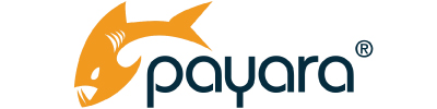 Payara Services Logo