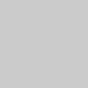 just a placeholder for the speaker image